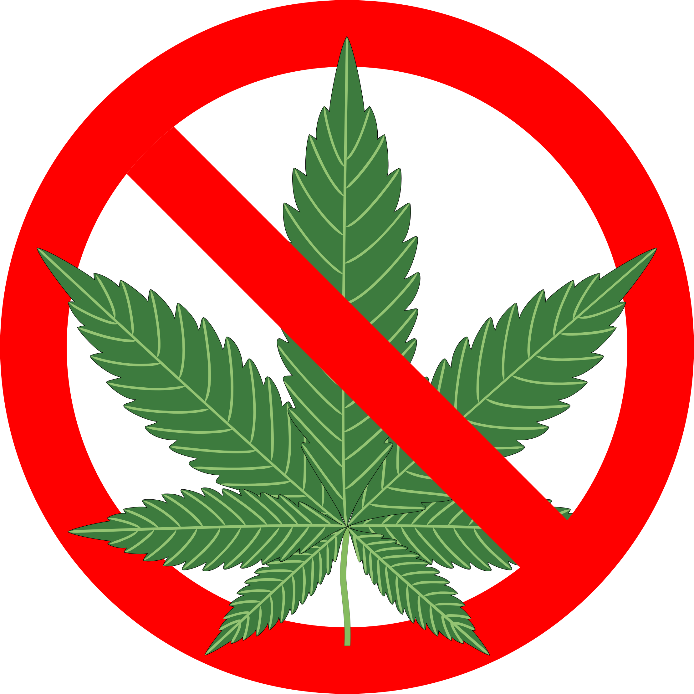 Cannabis PNG Image
