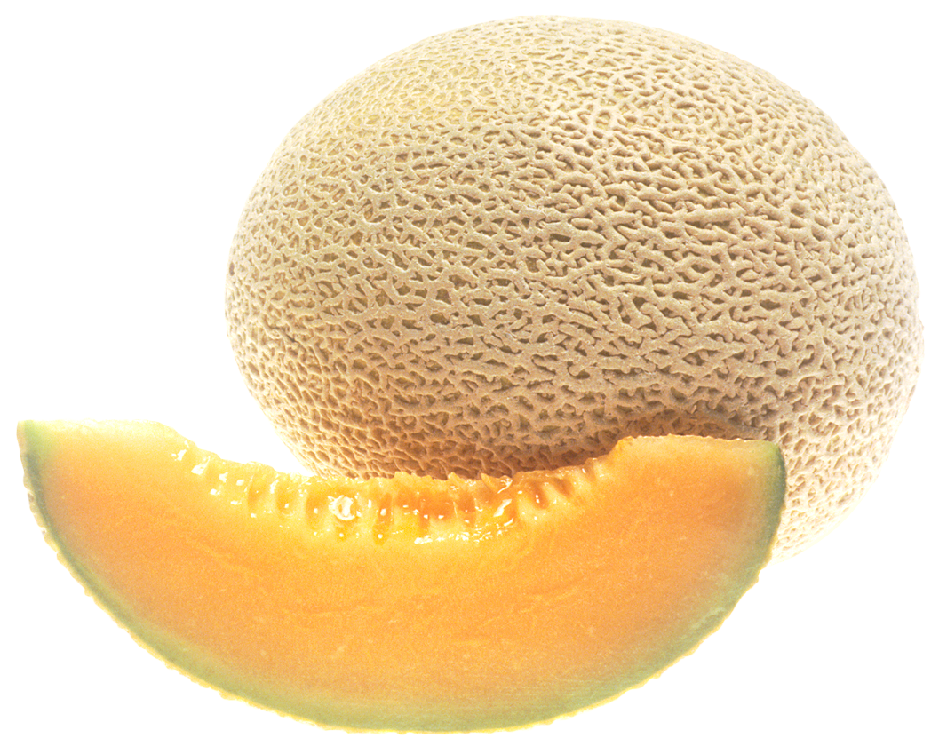 Cantaloupe PNG Image