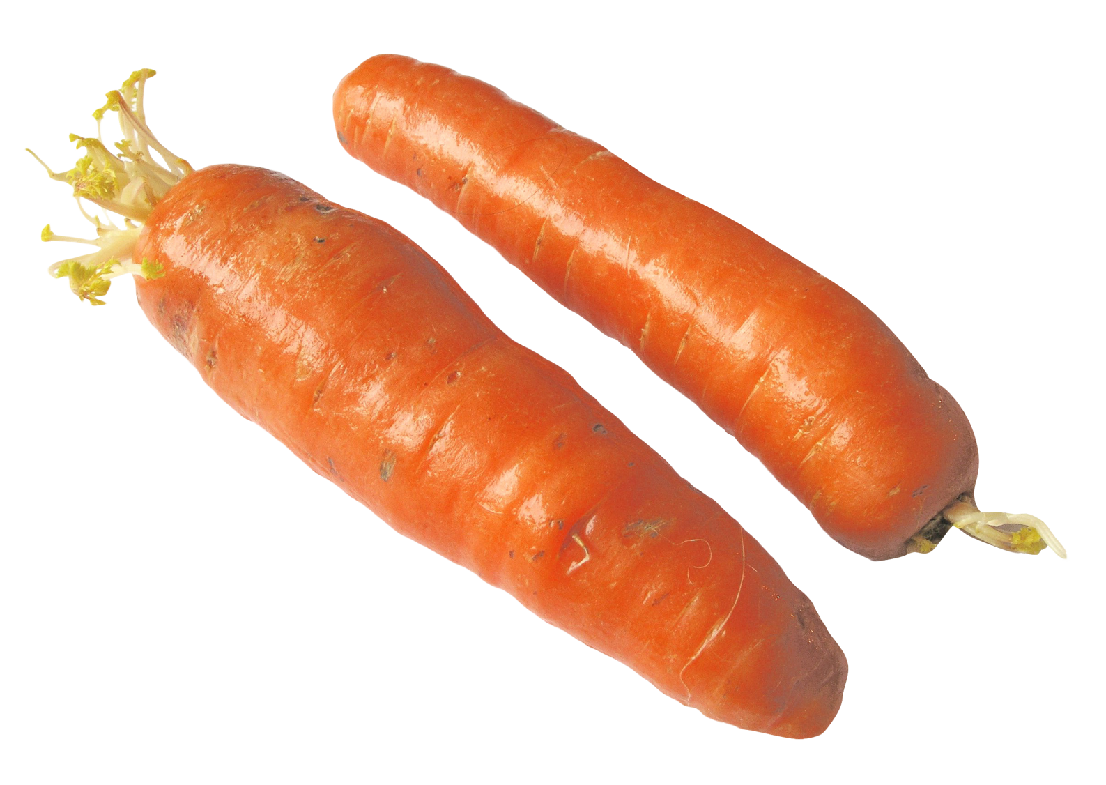 Carrots Half PNG Image