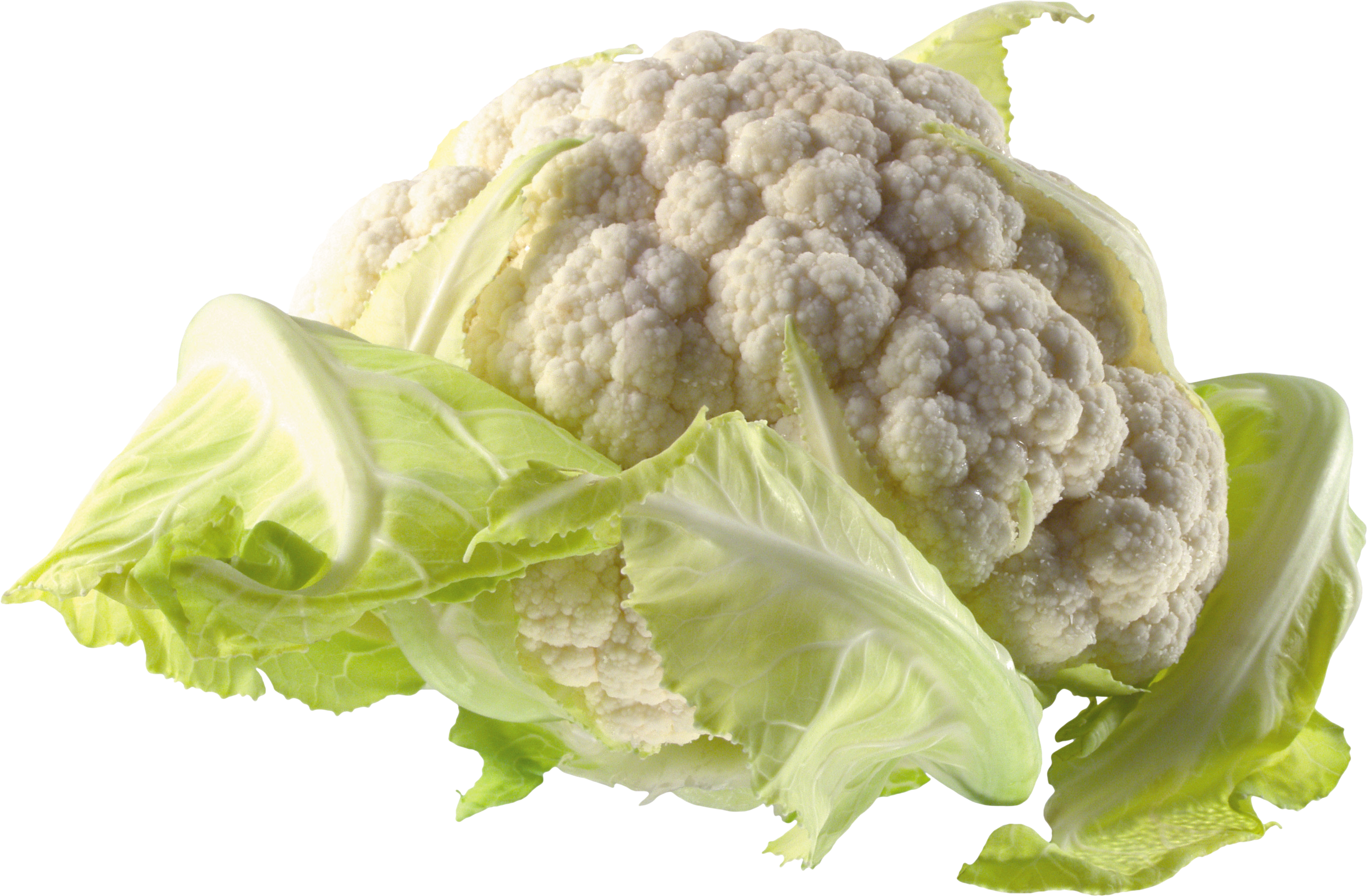 Cauliflower Png Image Purepng Free Transparent Cc0 Png Image Library