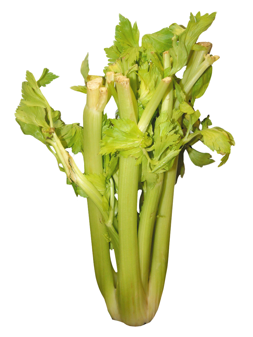 Celery PNG Image