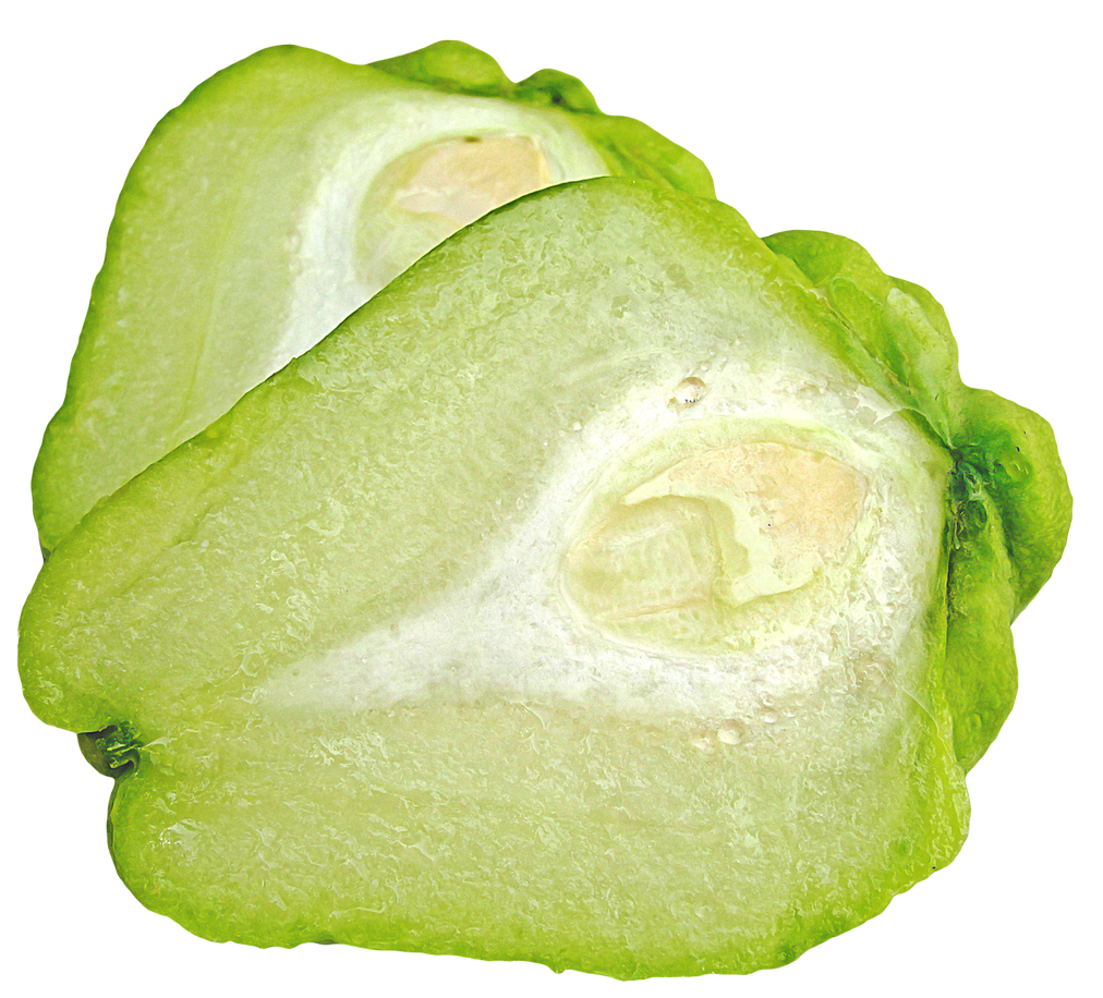 Chayote PNG Image