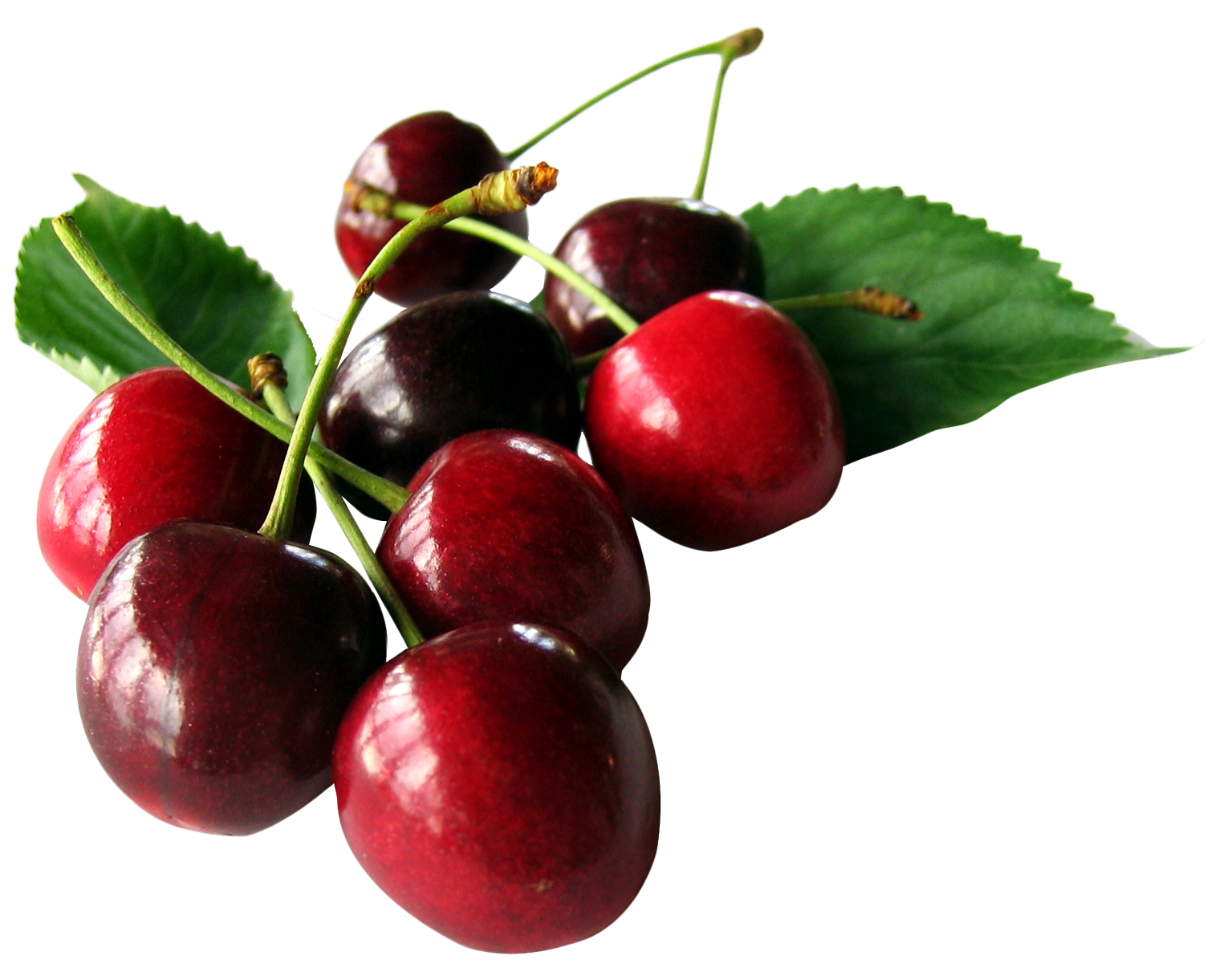Cherries with leaf