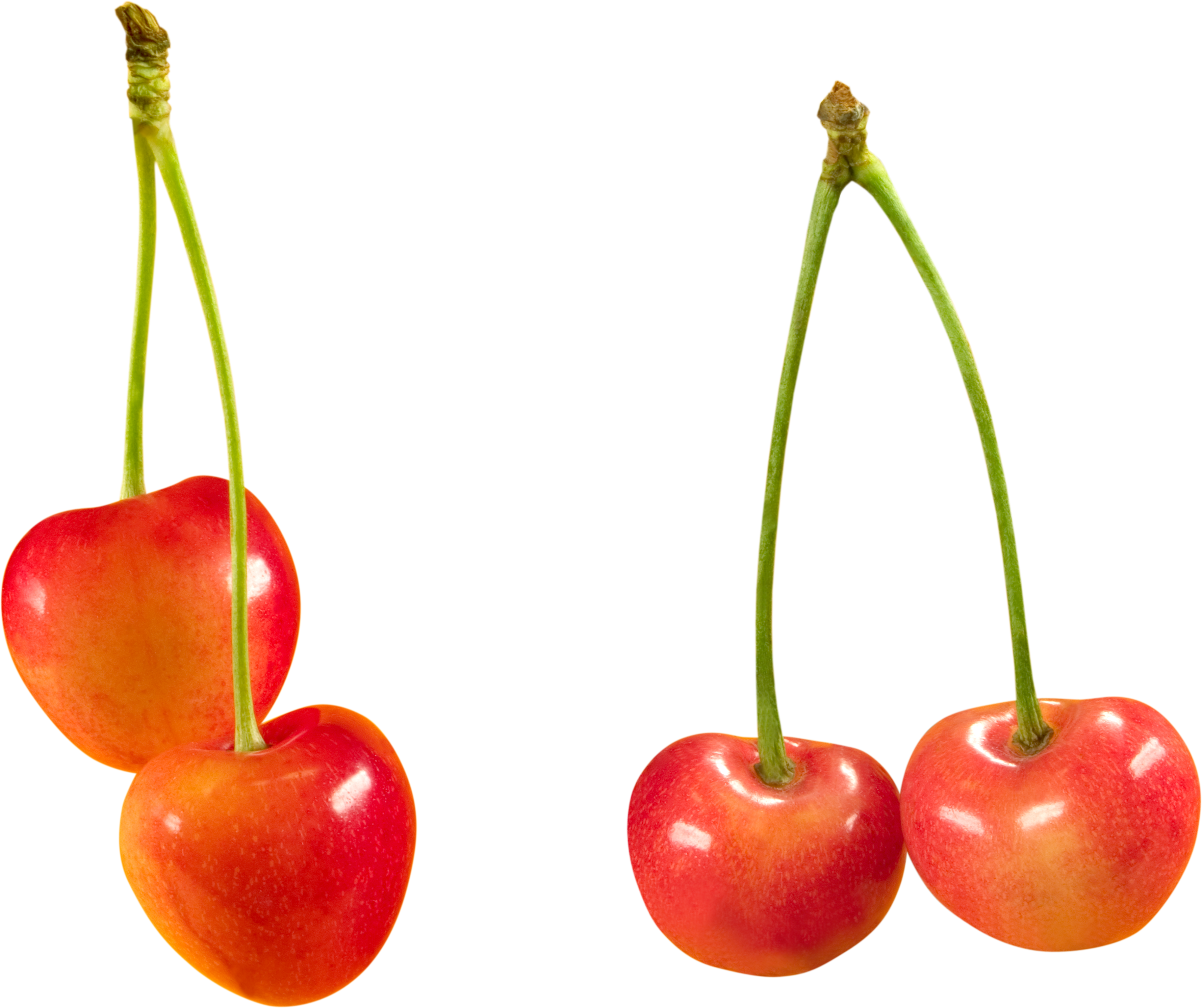 Cherries PNG Image