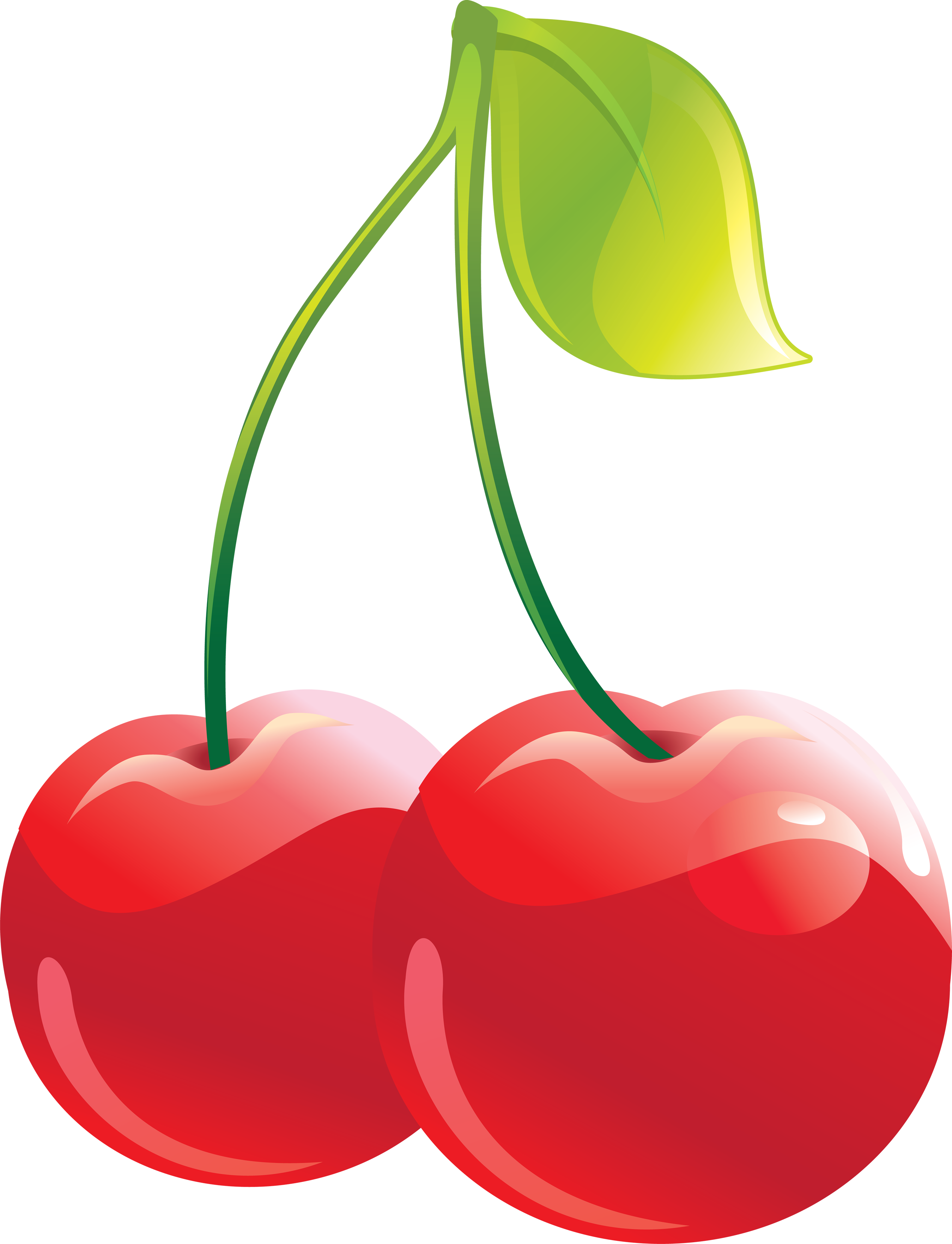 Cherries PNG Image