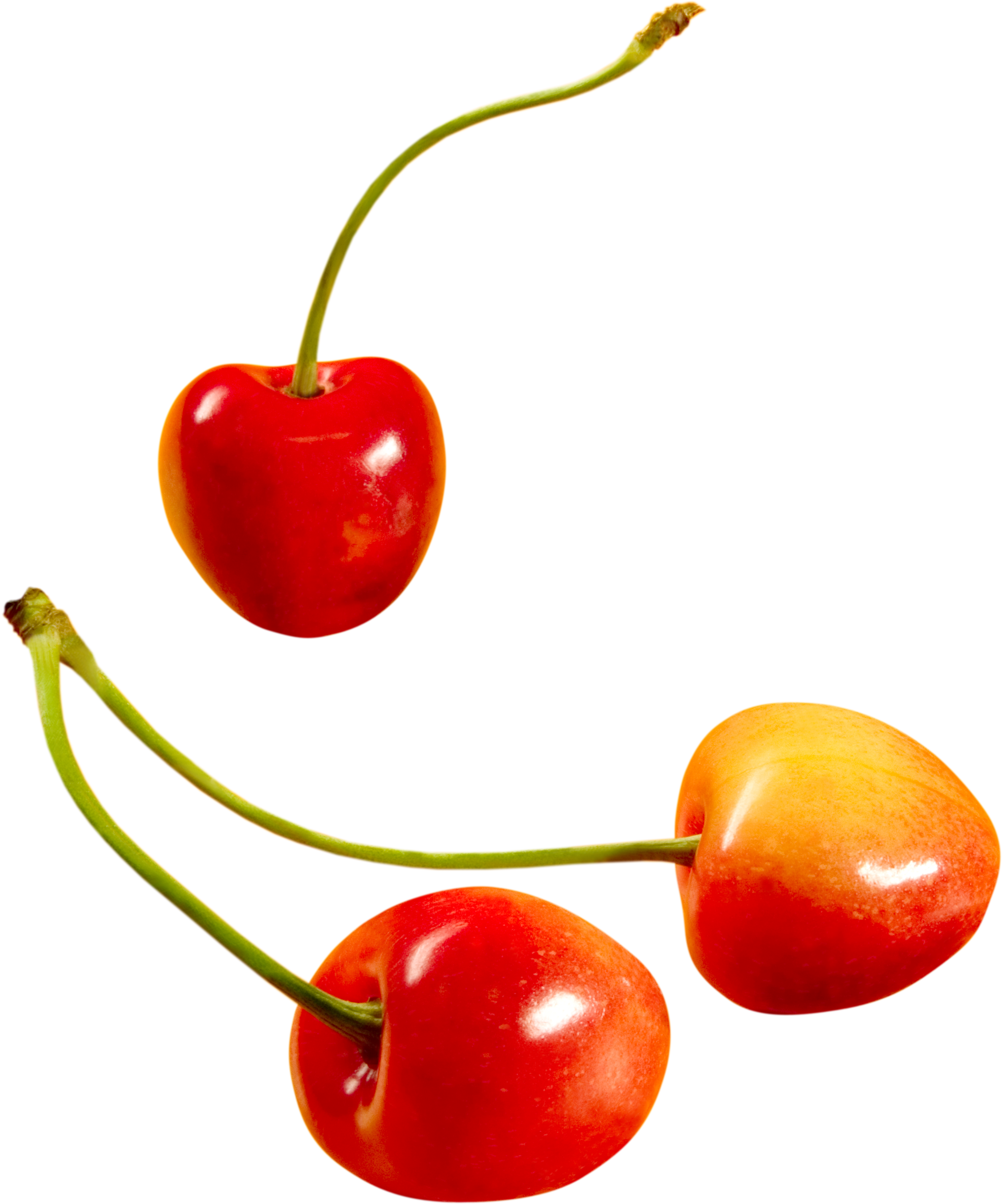 Cherry PNG Image