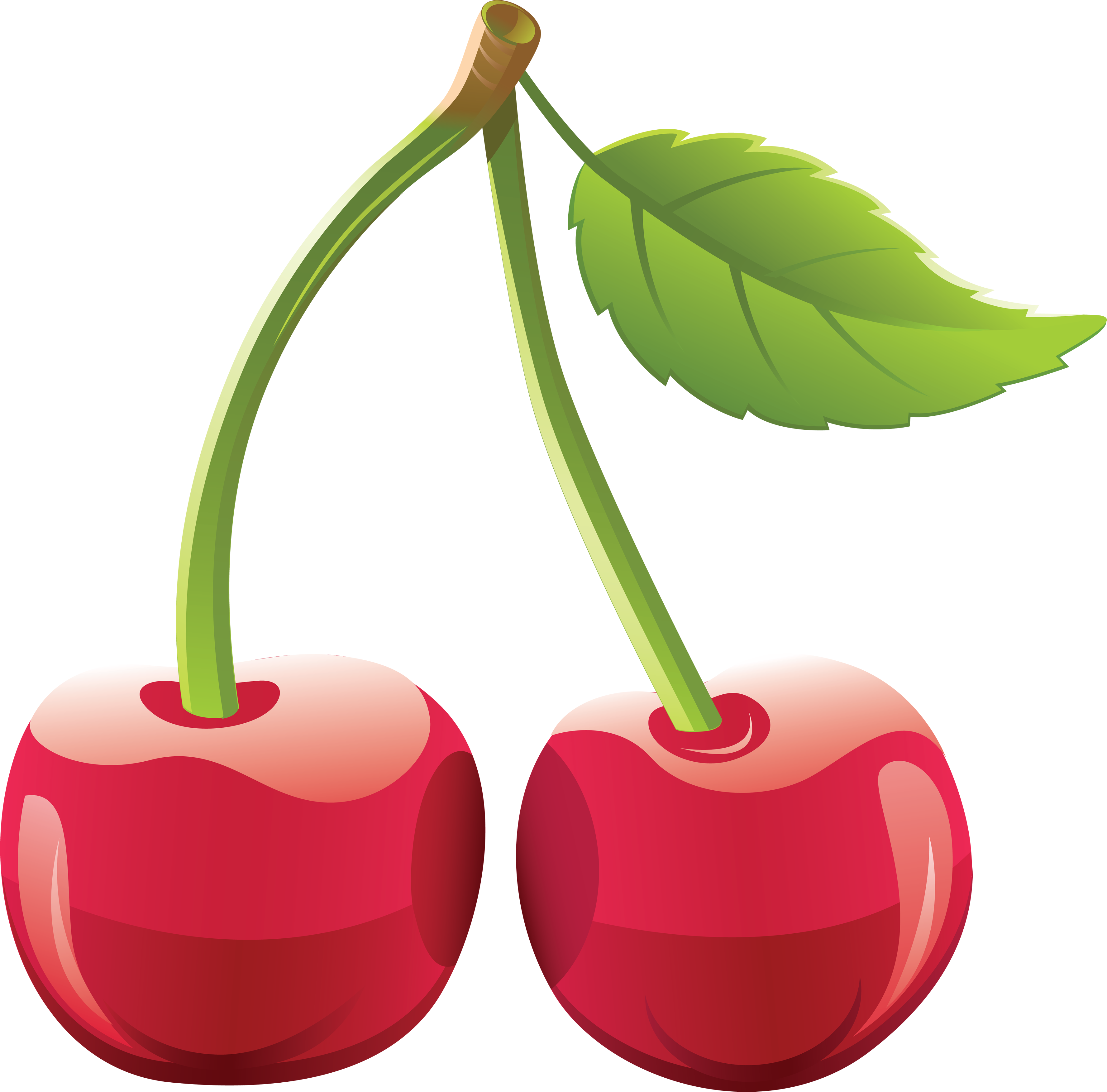 Cherry PNG Image