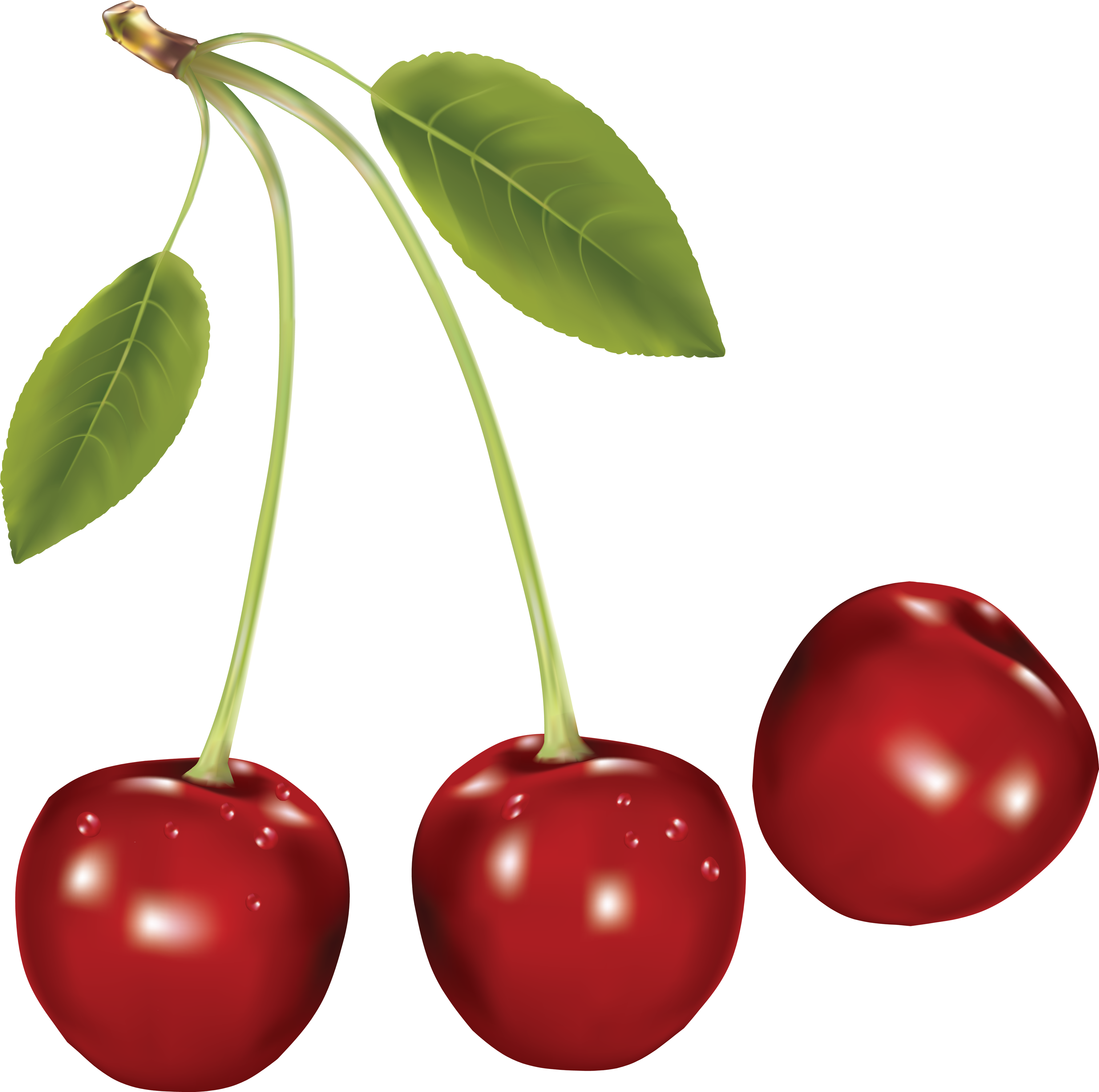 Cherrys PNG Image - PurePNG | Free transparent CC0 PNG Image Library