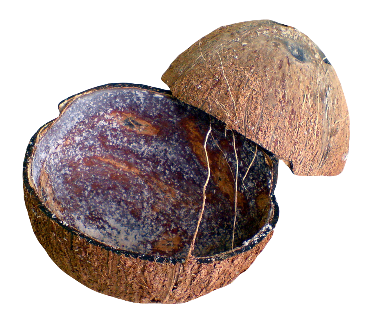 Coconut Shell PNG Image
