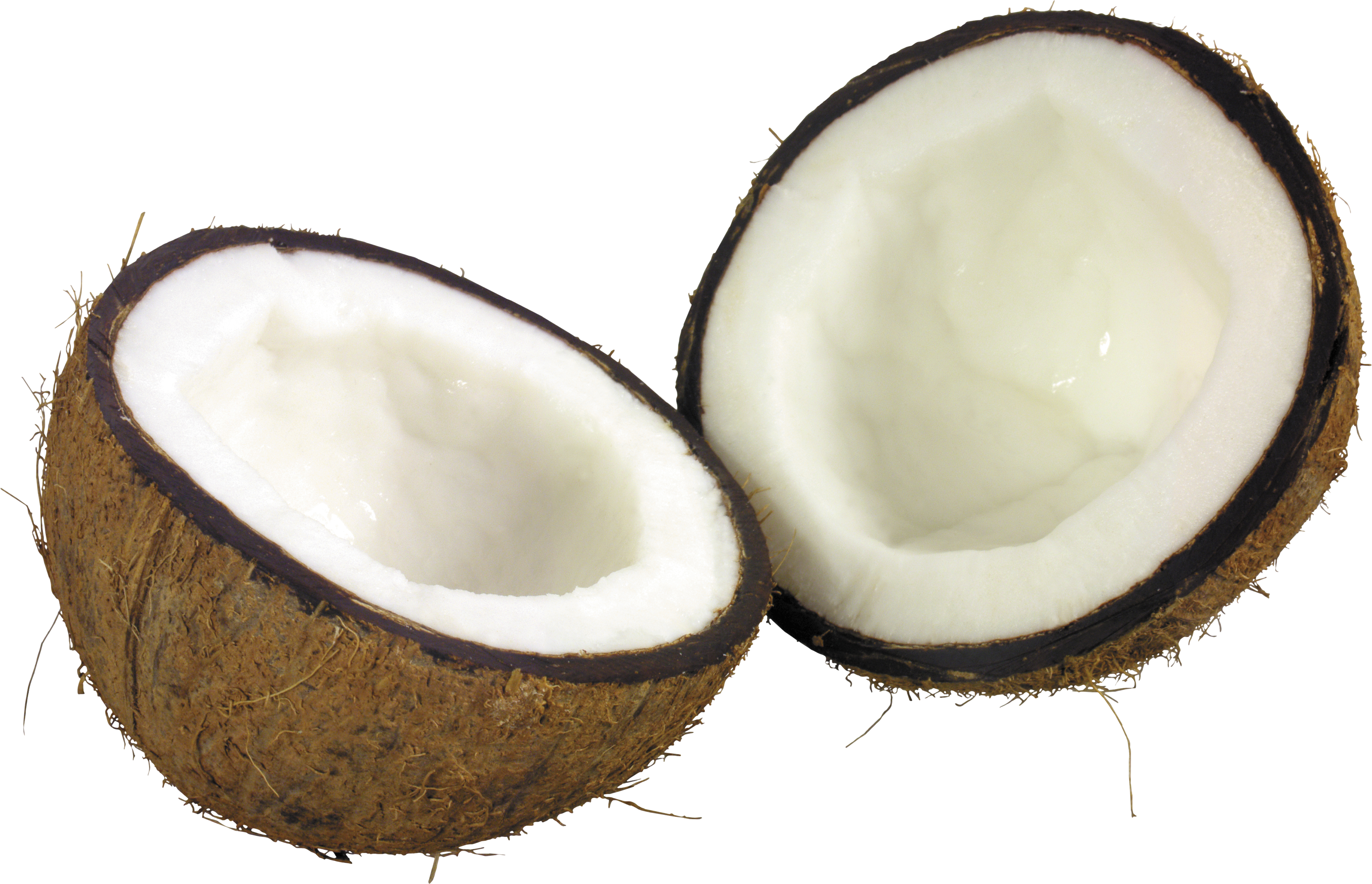 Coconuts PNG Image - PurePNG | Free transparent CC0 PNG Image Library