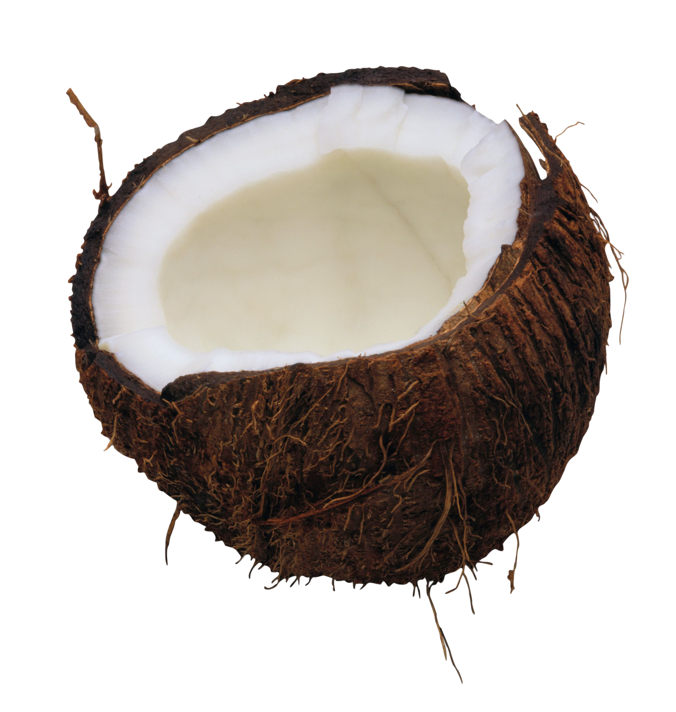 Coconuts PNG Image