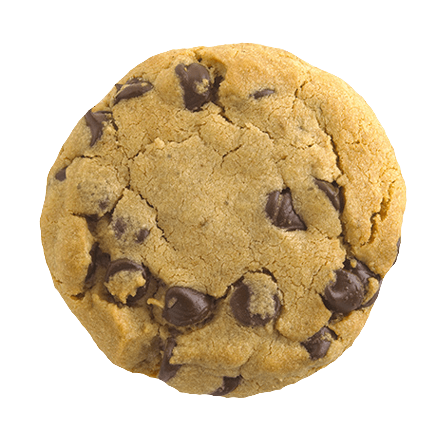 Cookie PNG Image
