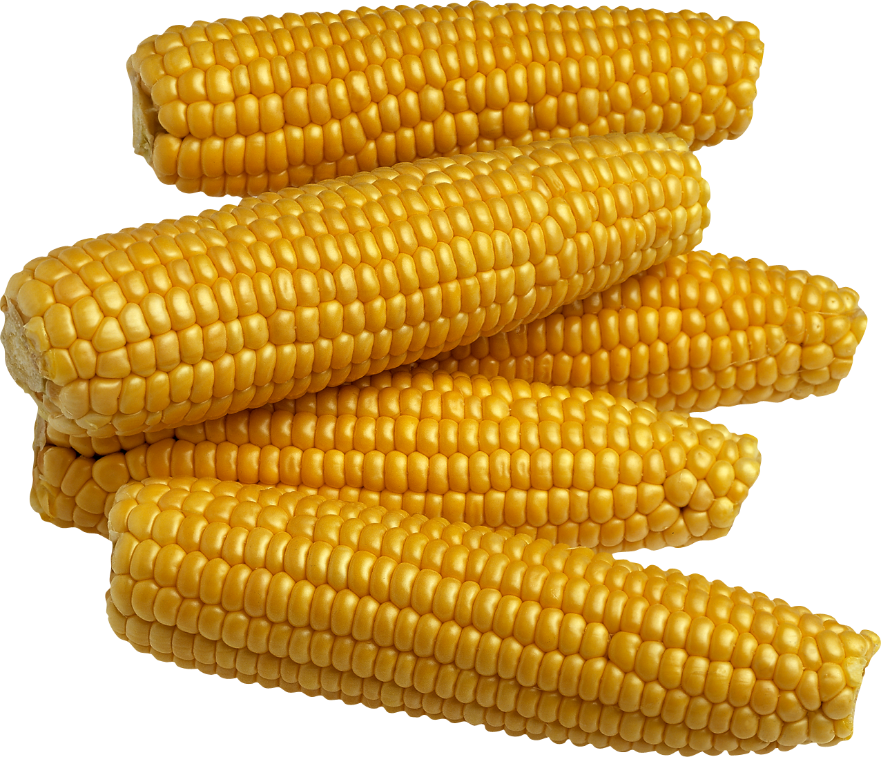 Download Corn PNG Image For Free