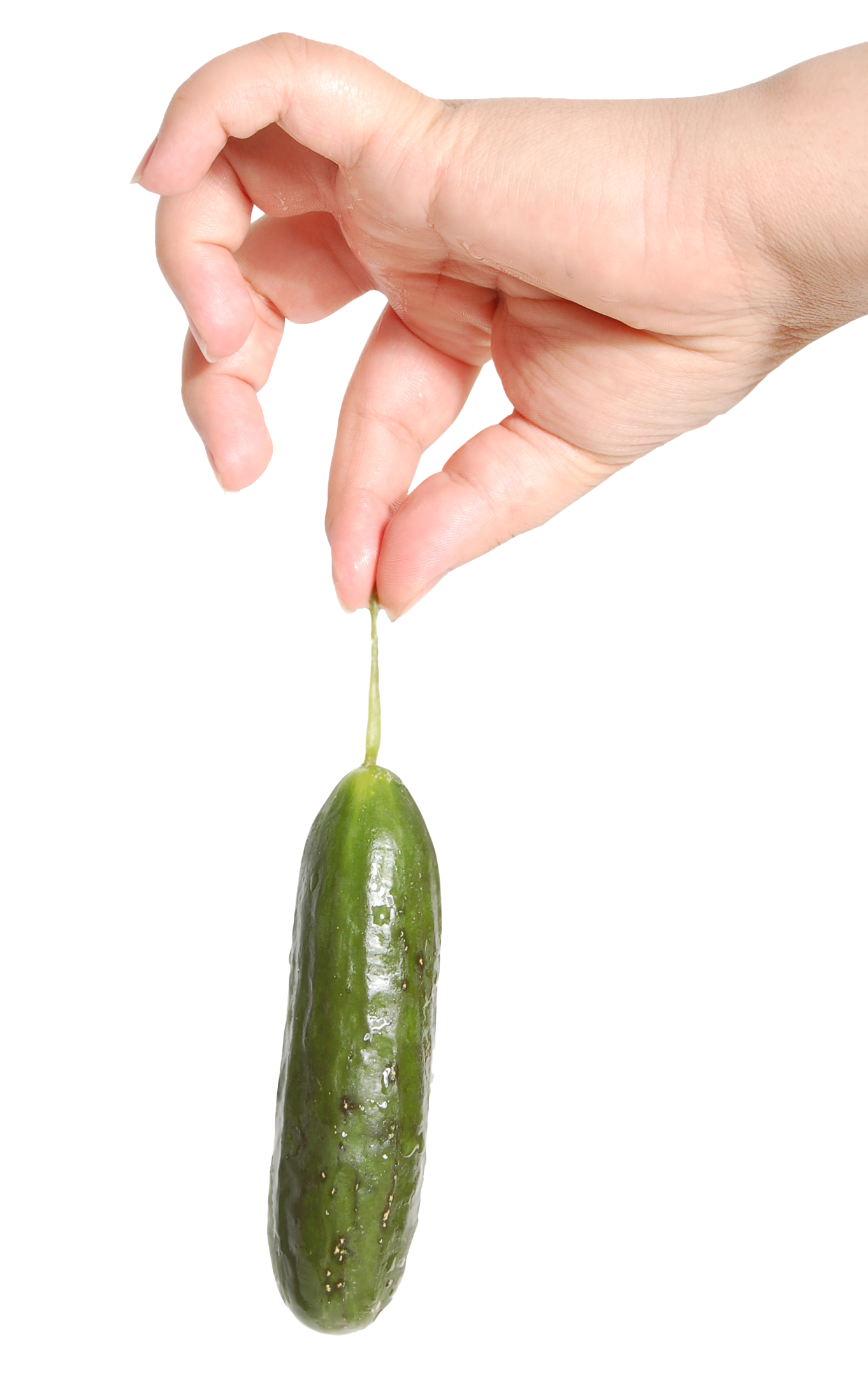 Cucumber in Hand PNG Image