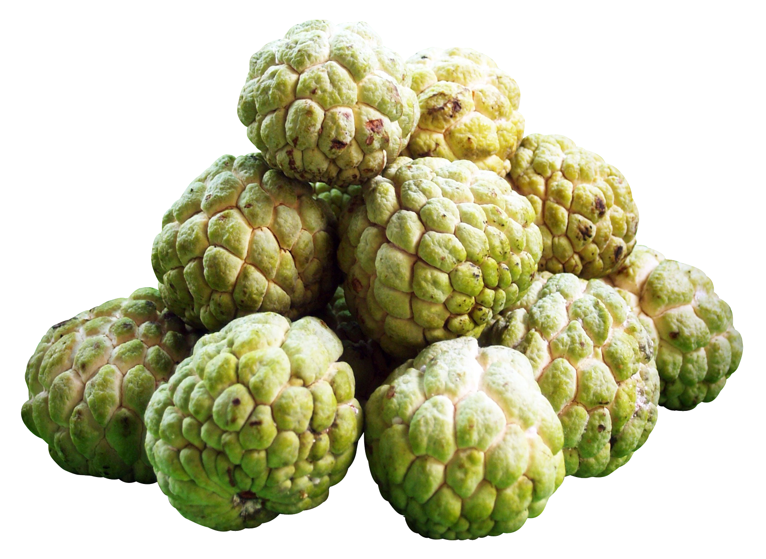 Custard apple что это за фрукт