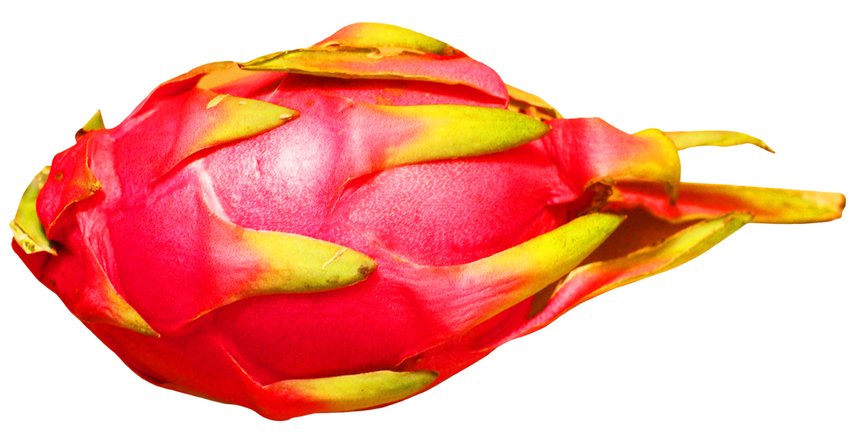 Dragon Fruit PNG Image