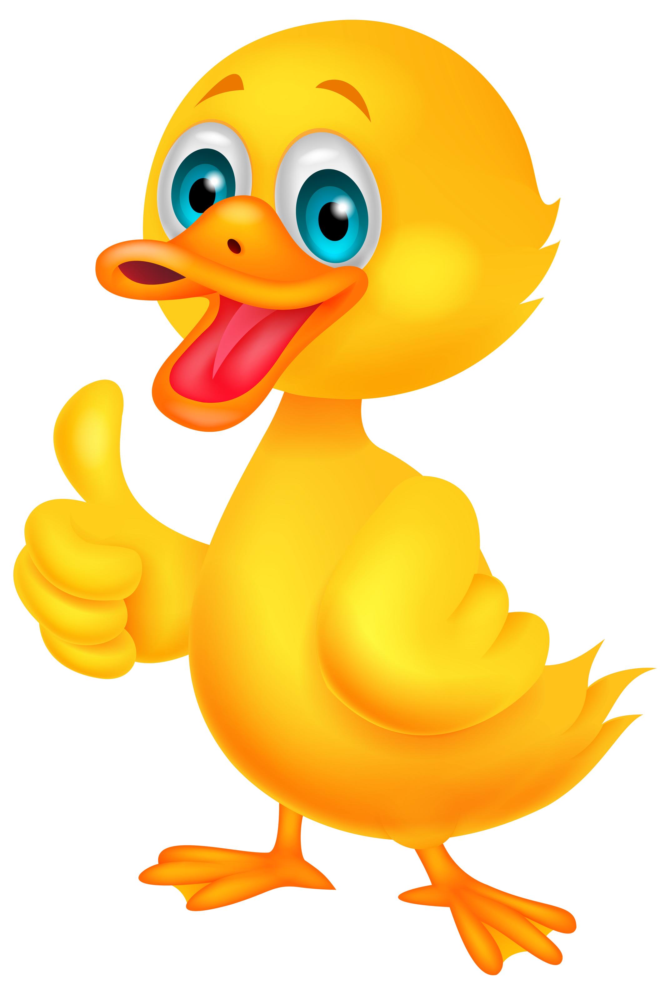 Duck PNG Image