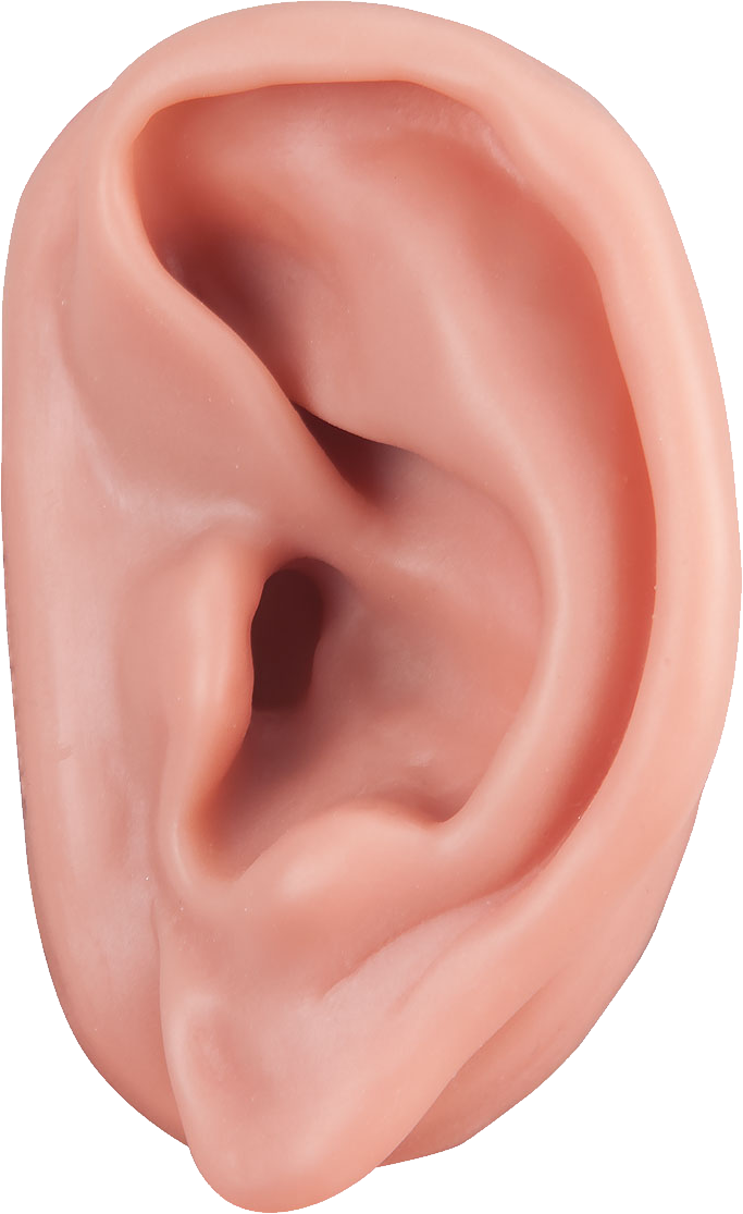 Ear PNG Image