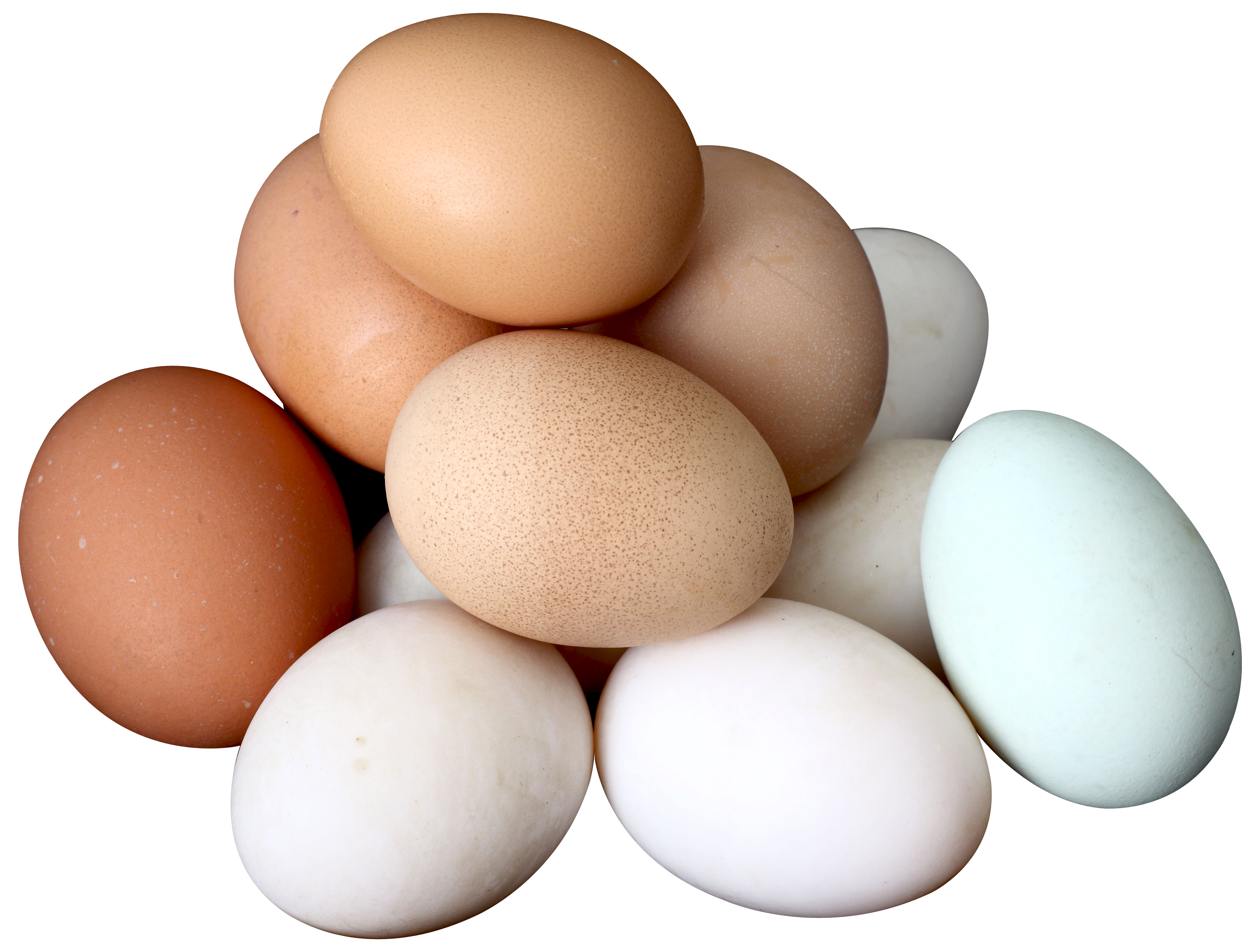 Egg PNG Image - PurePNG  Free transparent CC0 PNG Image Library