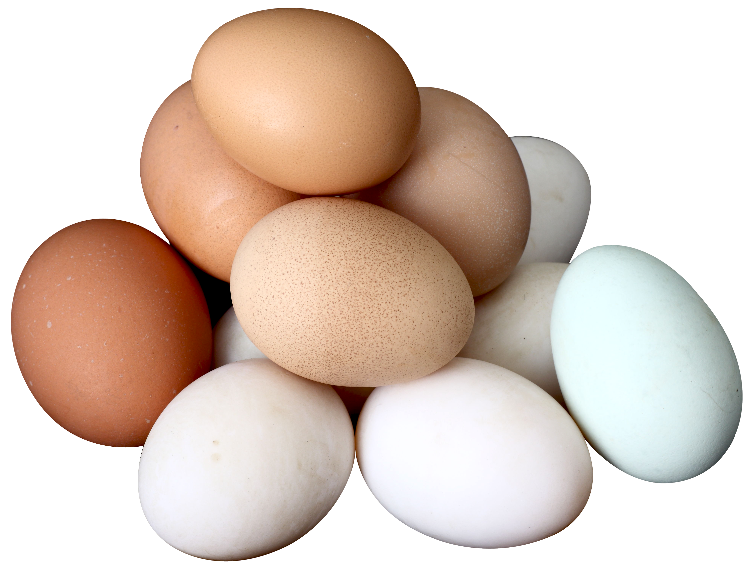 Egg PNG Image