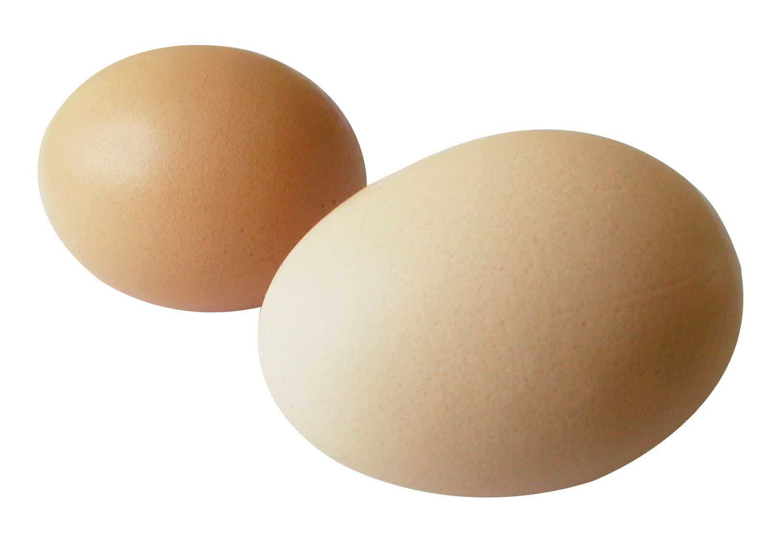 Egg PNG Image - PurePNG | Free transparent CC0 PNG Image Library