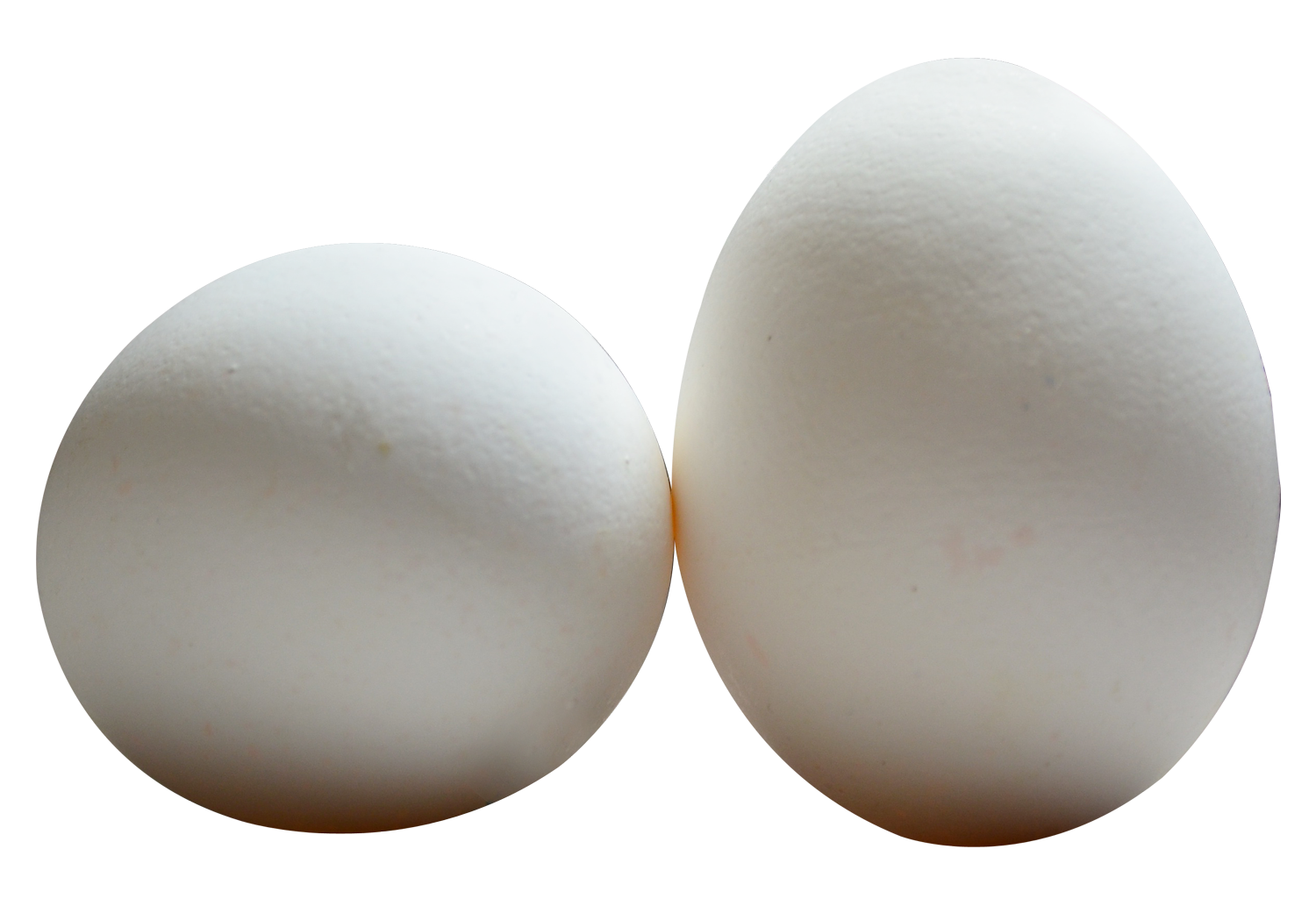 Download Egg PNG Image for Free