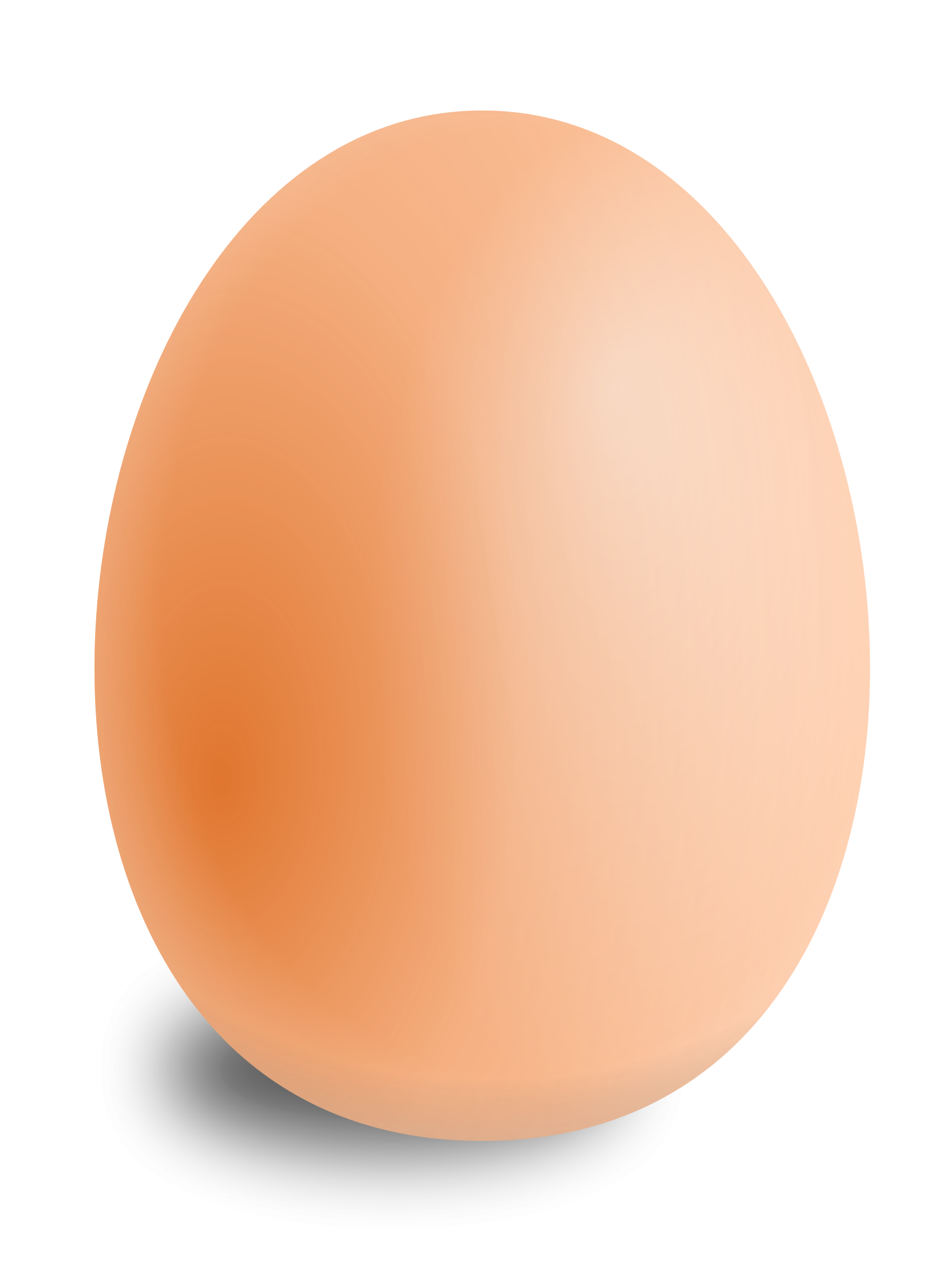 Boiled Egg PNG Image - PurePNG  Free transparent CC0 PNG Image Library