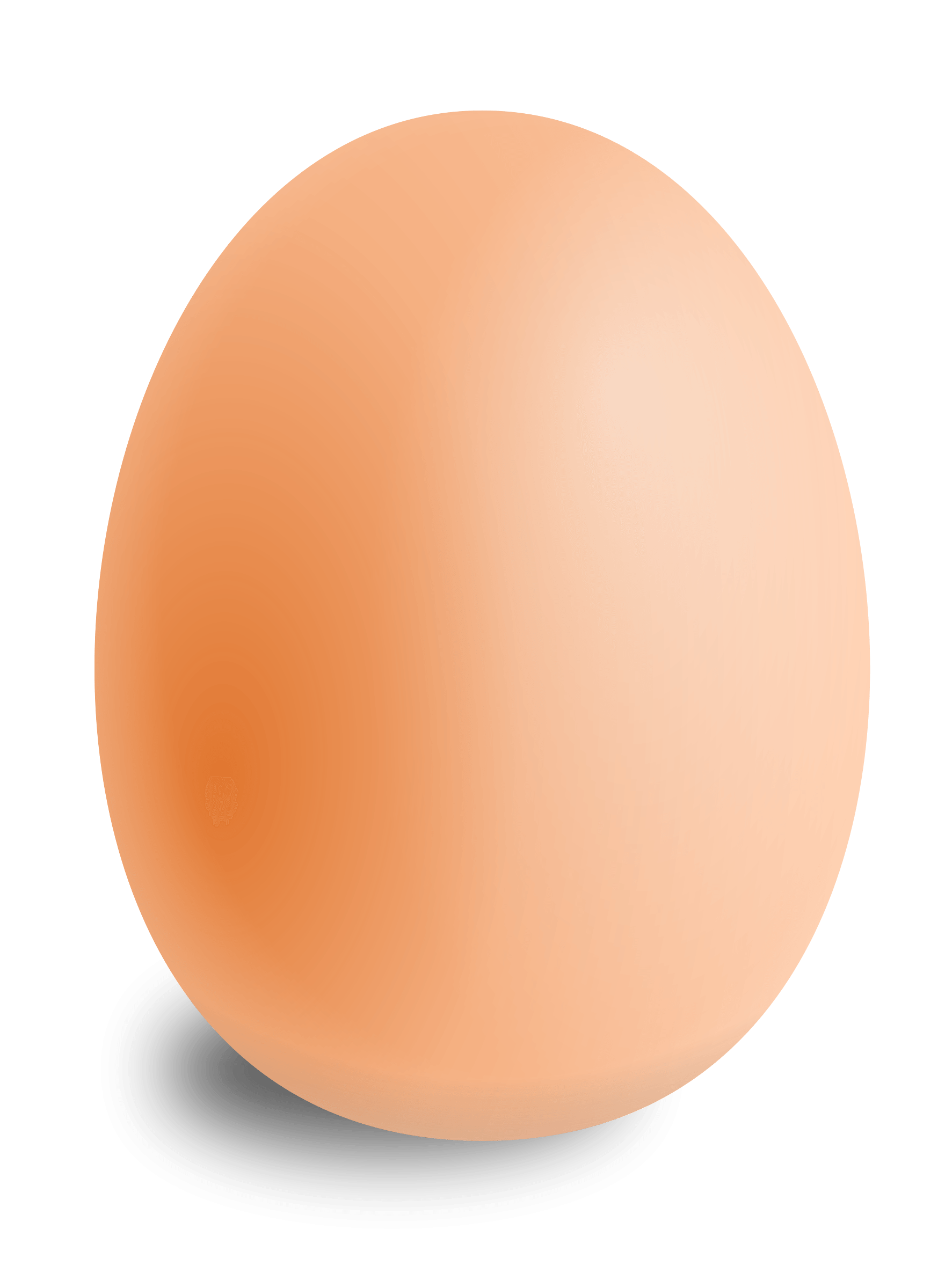 Eggs PNG Image