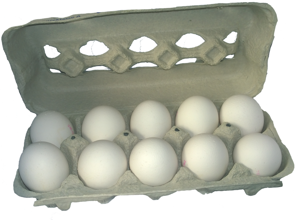 eggs