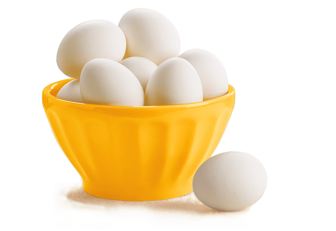 eggs