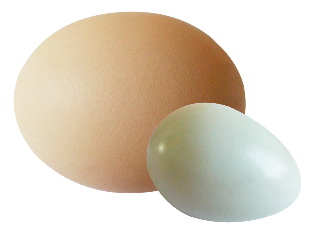 Eggs