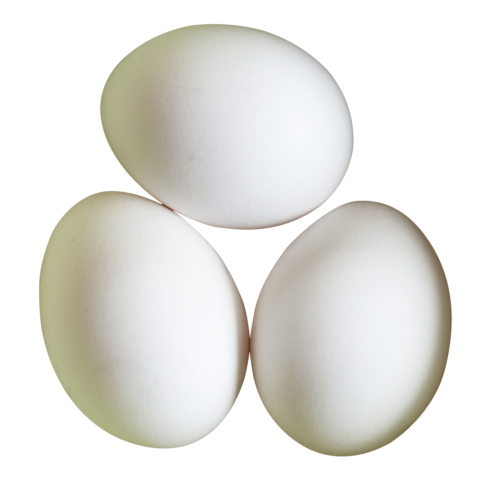 Eggs PNG Image