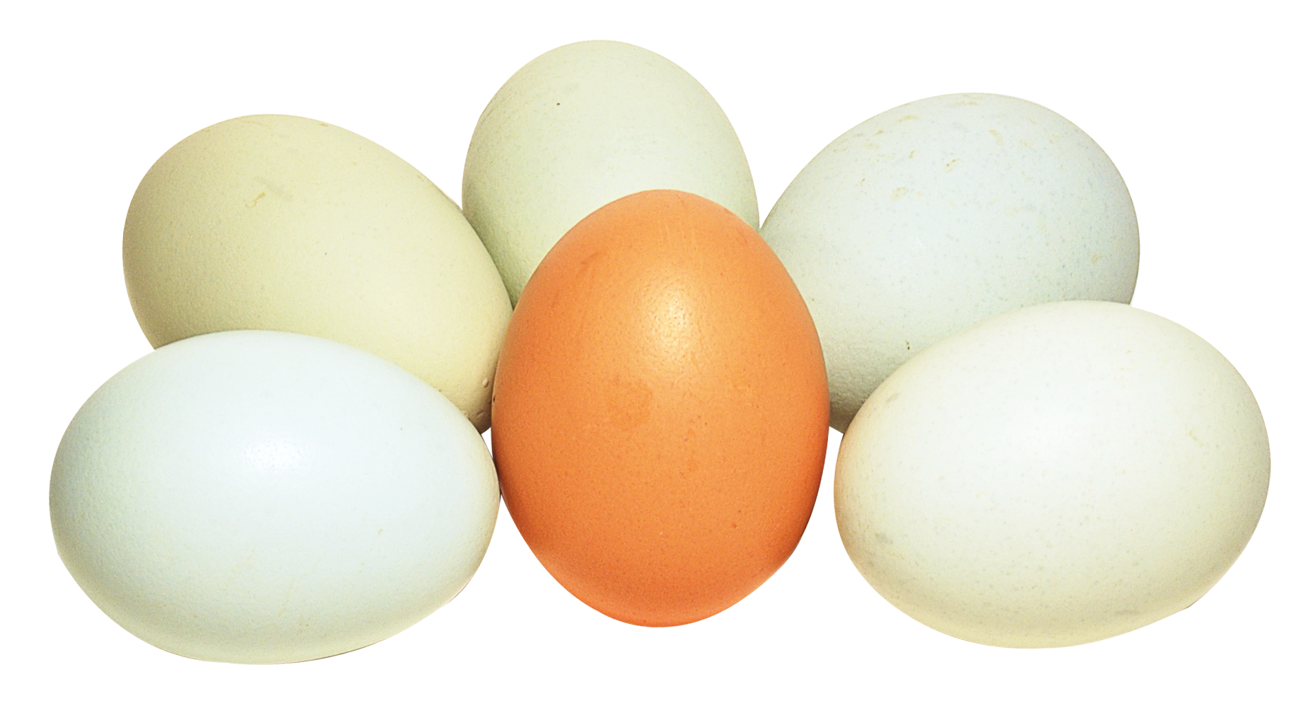 Eggs PNG Image