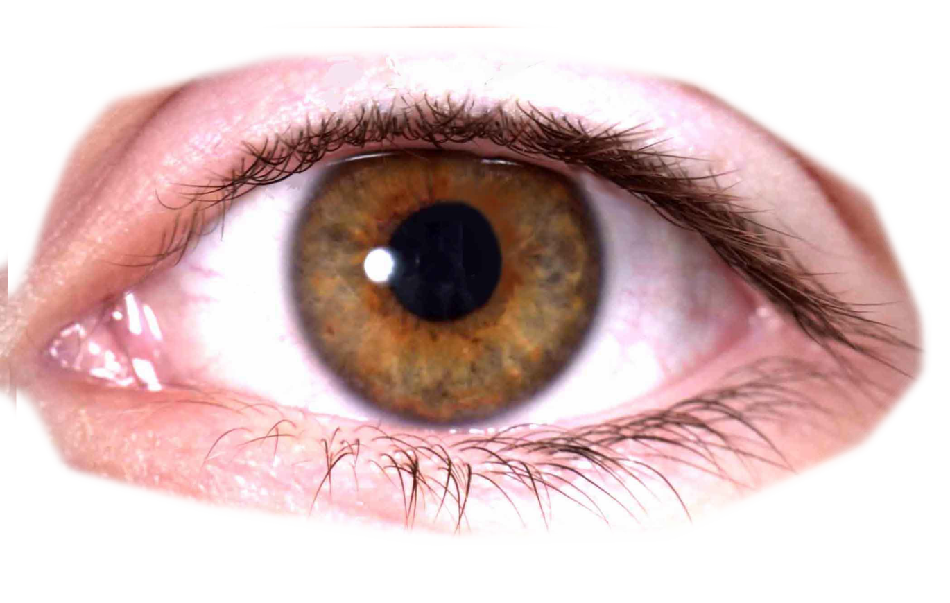 Eye PNG Image - PurePNG | Free transparent CC0 PNG Image ...
