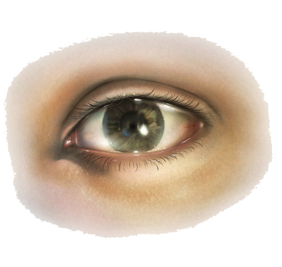 Eye PNG Image