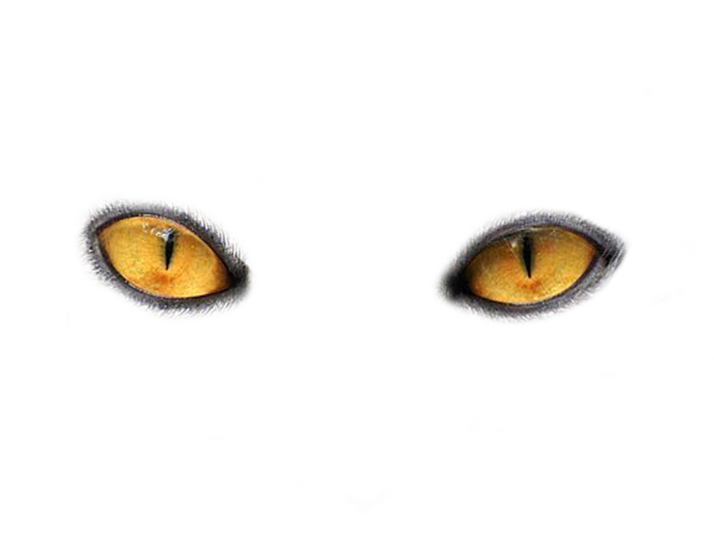 Eyes PNG Image