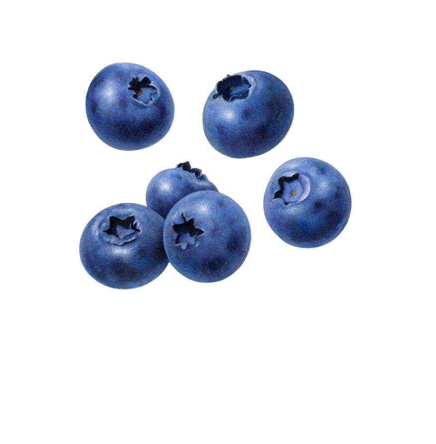 Falling Blueberrys PNG Image