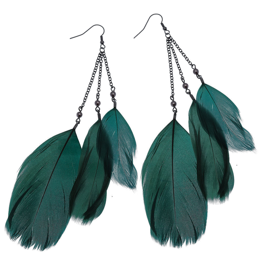Feather Earrings PNG Image
