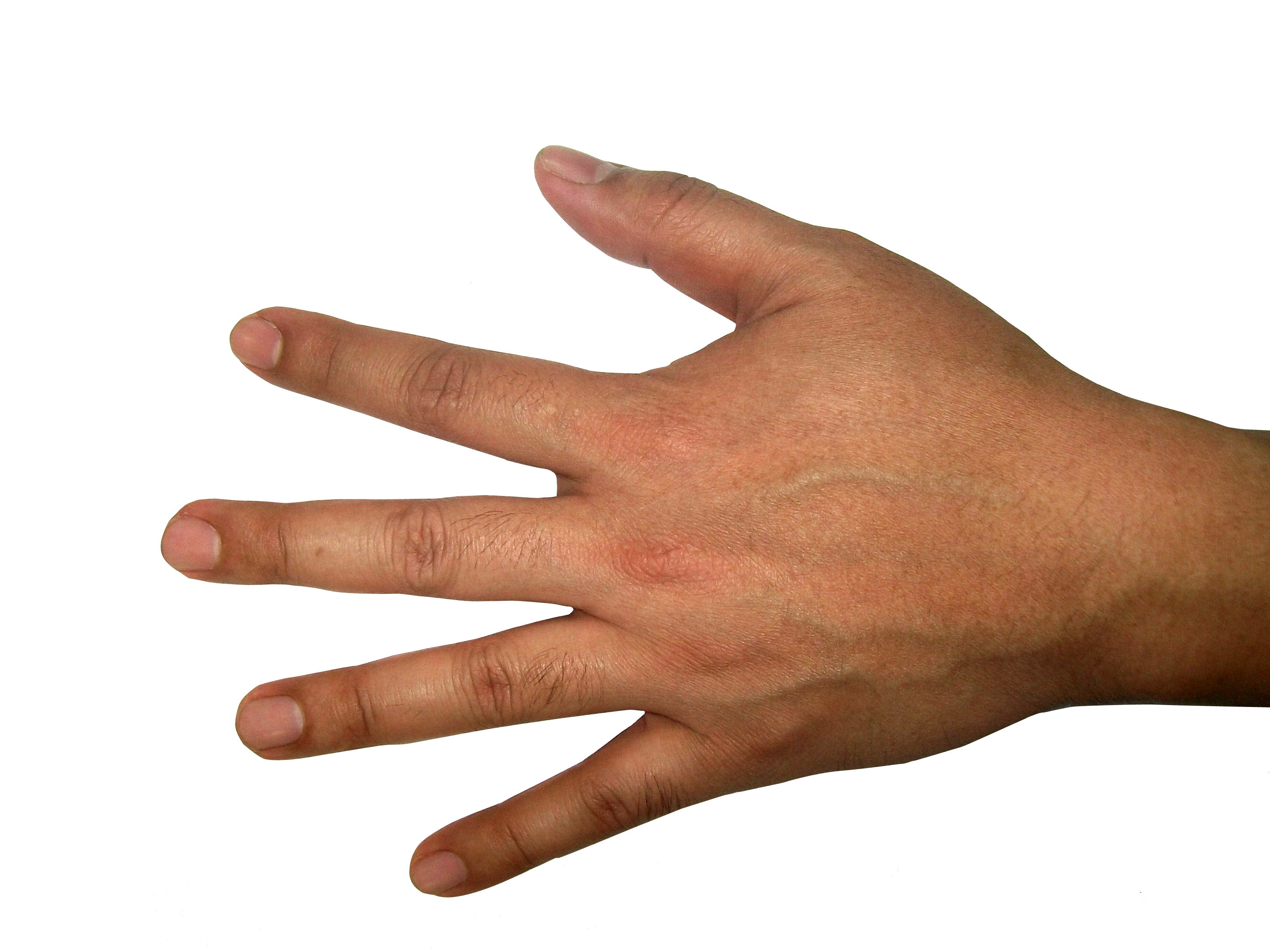Five Finger Hand PNG Image