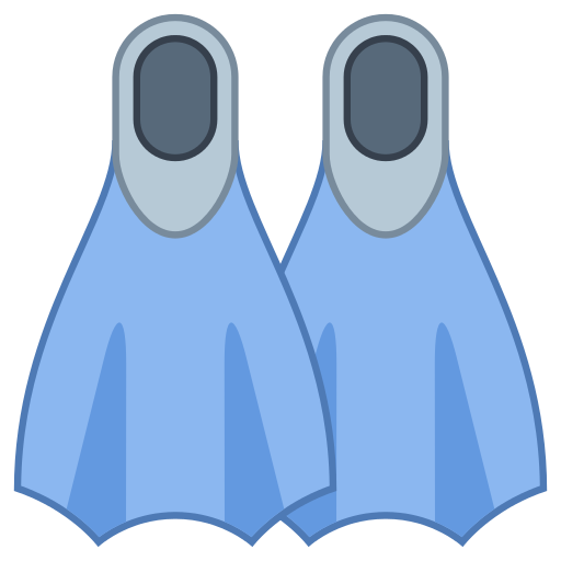 Flippers PNG Image
