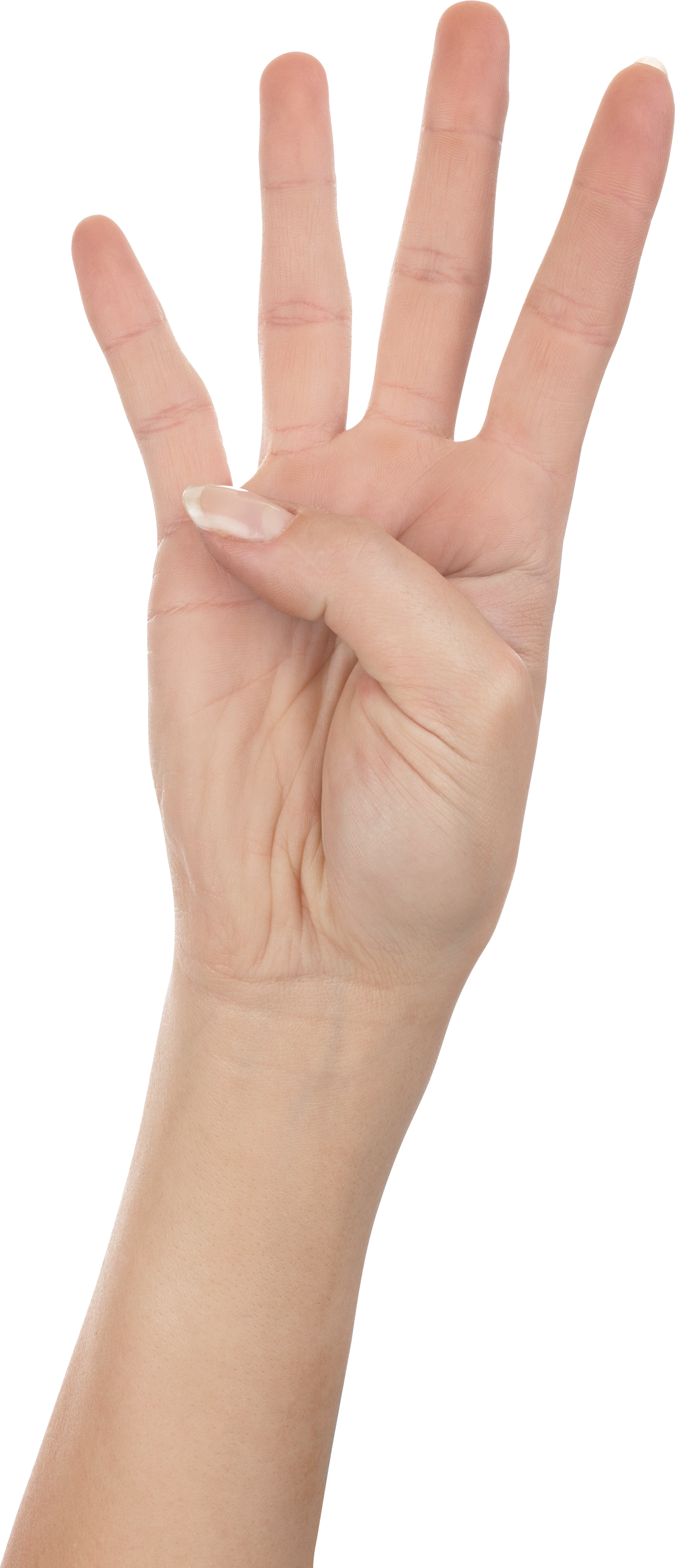 Four Finger Hand PNG Image