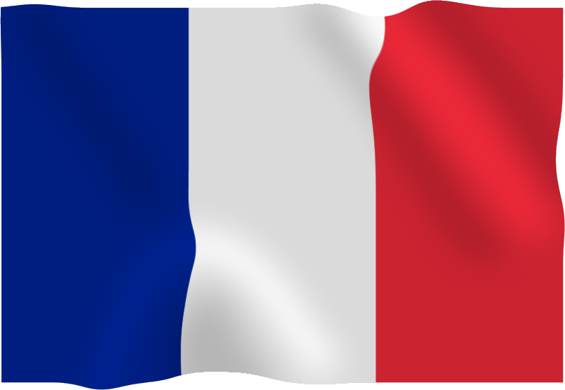 France Flag PNG Image