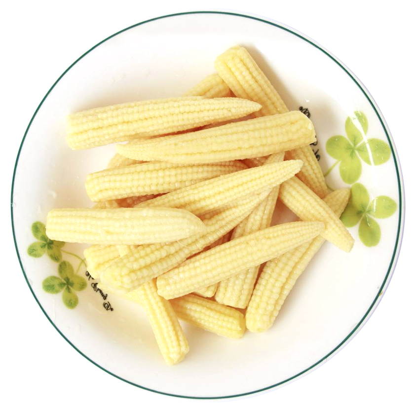Fresh Baby Corns Served in a White Plate PNG Image