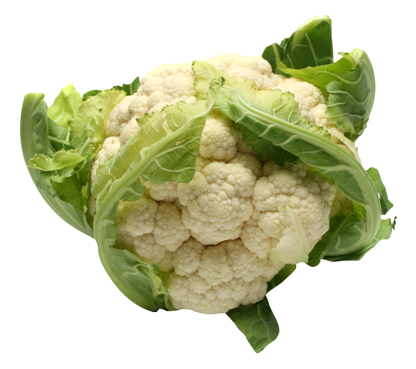 Fresh Cauliflower PNG Image