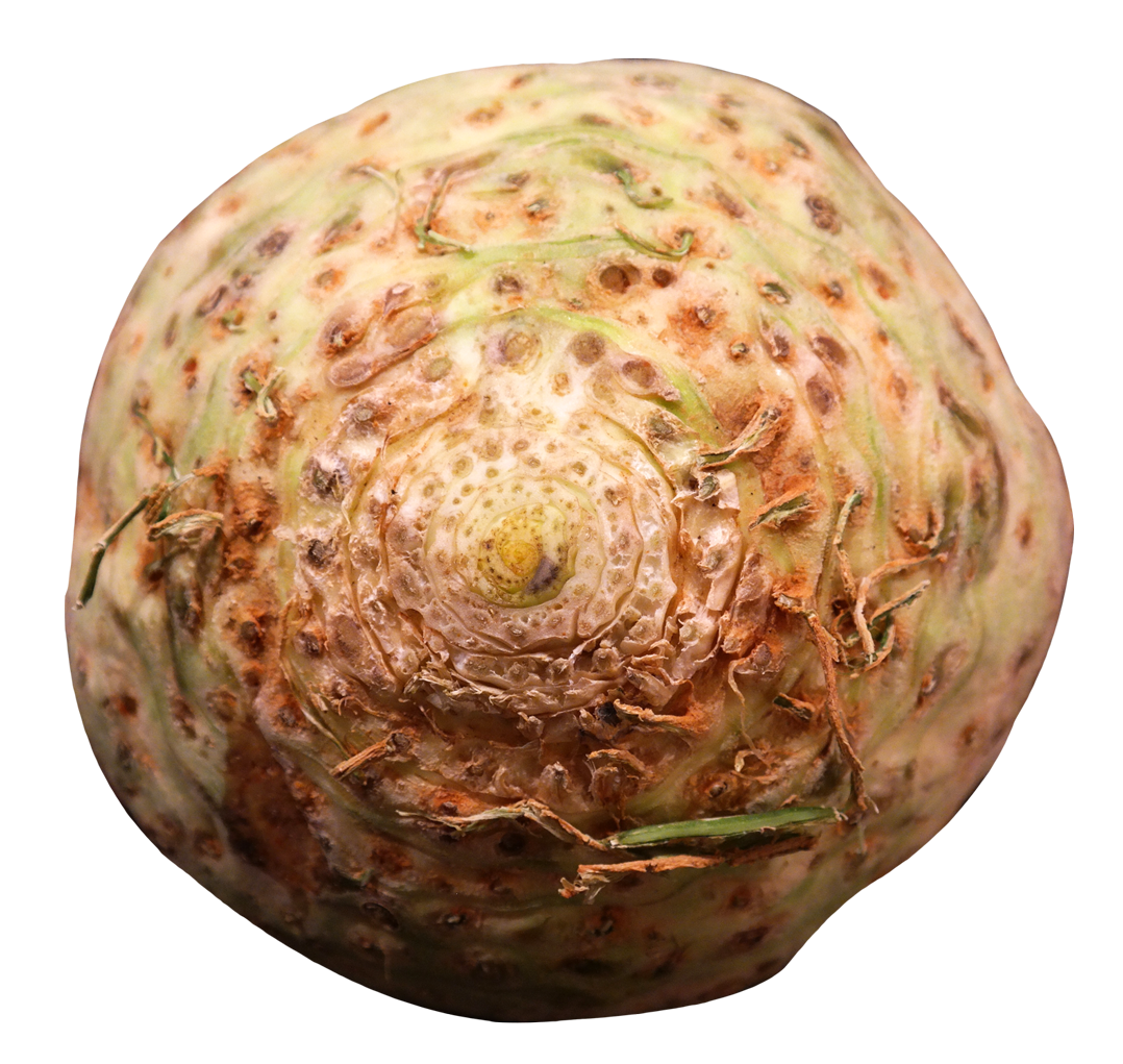 Fresh Celery Root PNG Image