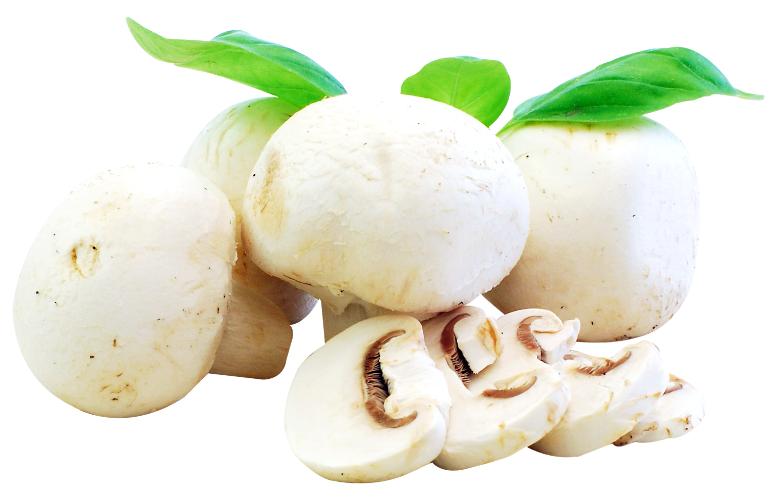 Fresh Mushrooms PNG Image