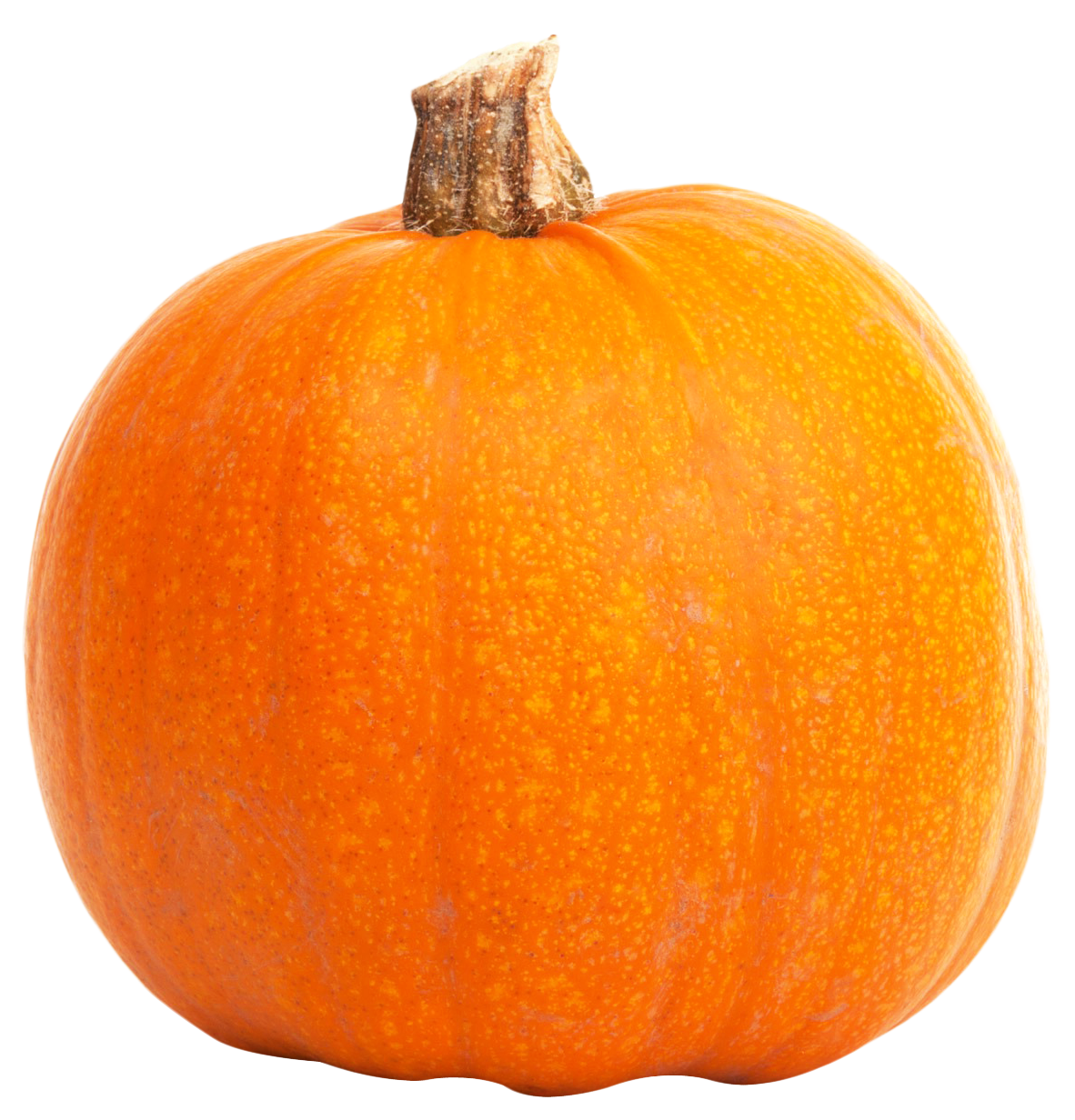Fresh Orange Pumpkin PNG Image