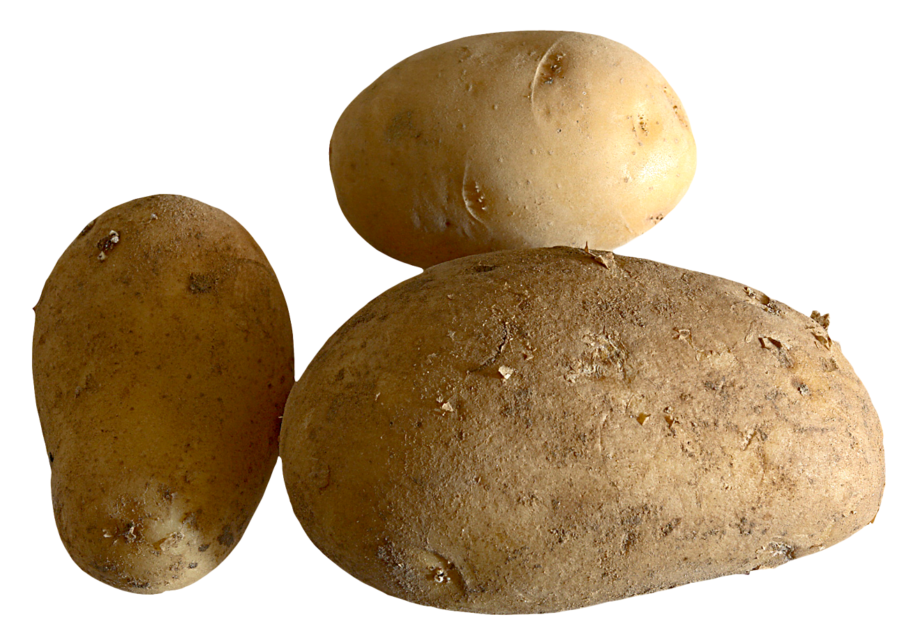 Fresh Potato PNG Image