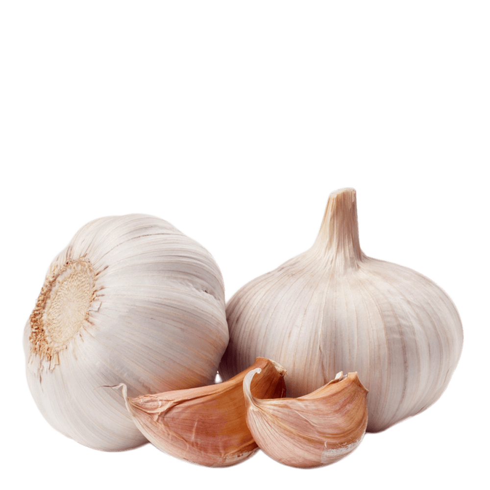 Garlic PNG Image