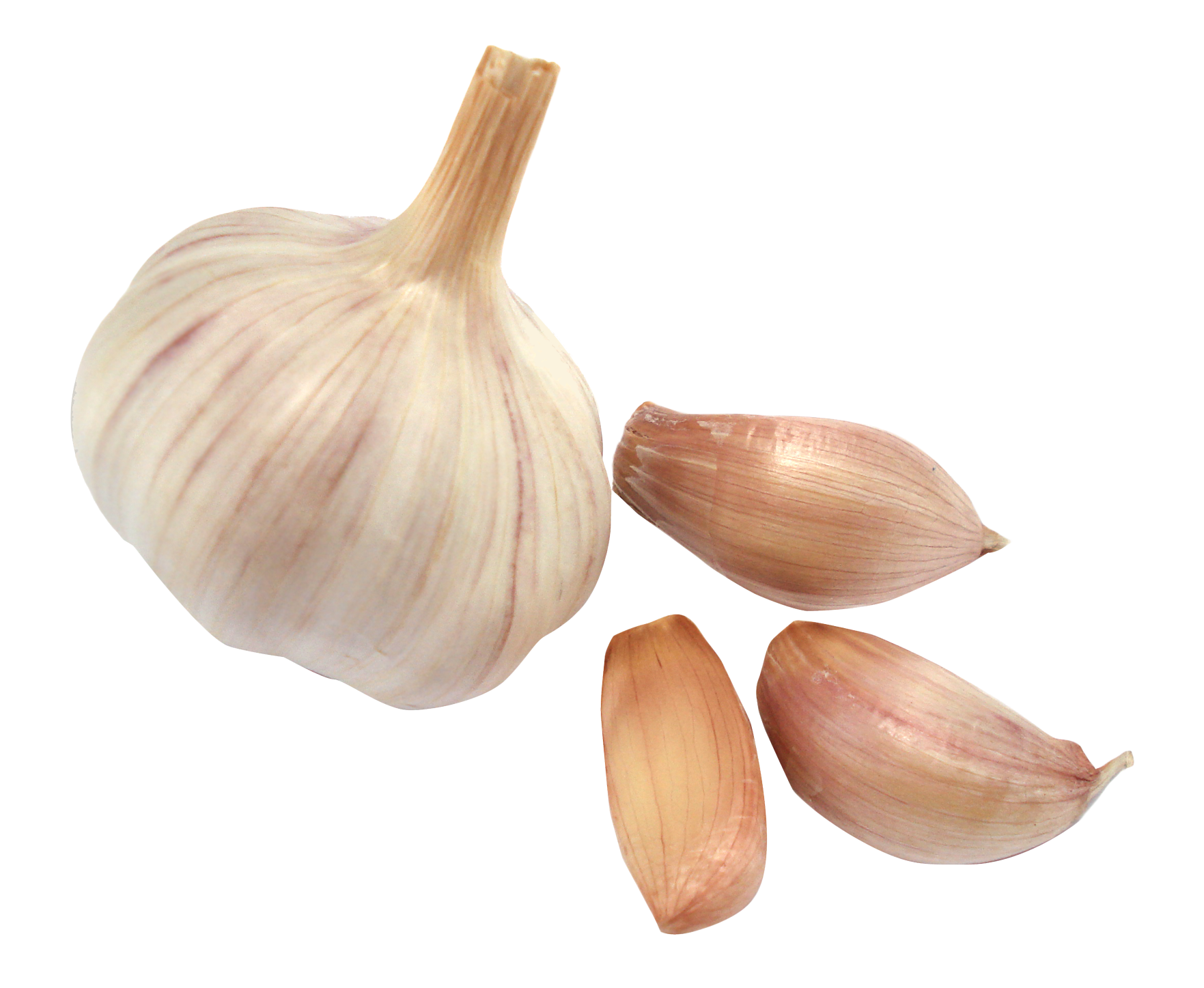 Download Garlic PNG Image for Free